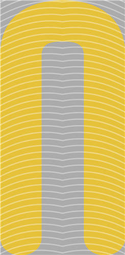 NBA and Team-QD 1965